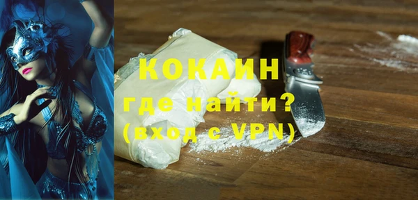 шишки Краснотурьинск