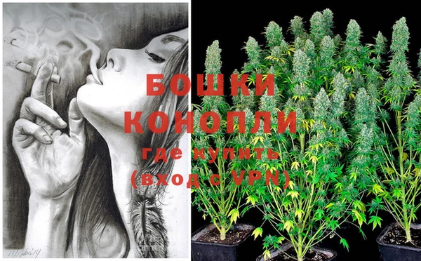 шишки Краснотурьинск