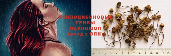 COCAINE Краснослободск