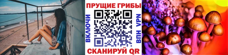 дарк нет формула  Гаврилов Посад  Галлюциногенные грибы прущие грибы 
